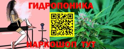 мдпв Аргун
