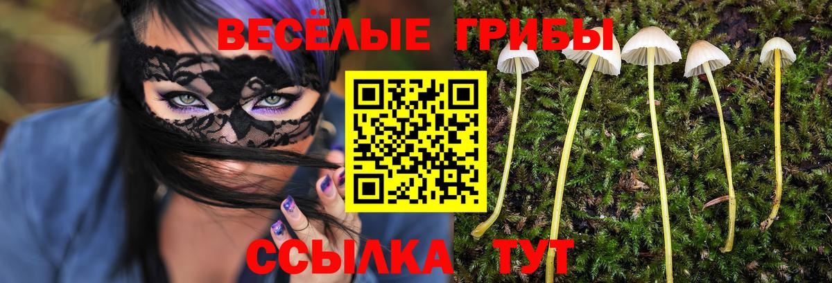 цены   Псилоцибиновые грибы ЛСД  Галлюциногенные грибы Magic Shrooms  Вход с VPN  Борзя 